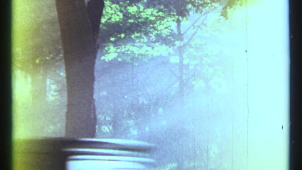 1967 Ottawa woodland ride frame with tall trees, hazy sunlight, vertical scratches, and a partial vehicle edge visible below.