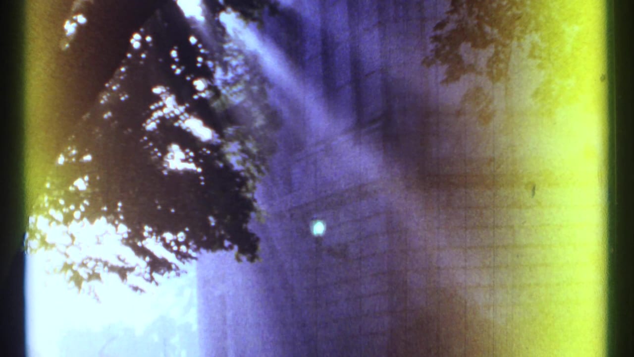 1967 Ottawa frame with a stone building facade, bright sun flare and leaves crossing the upper portion.