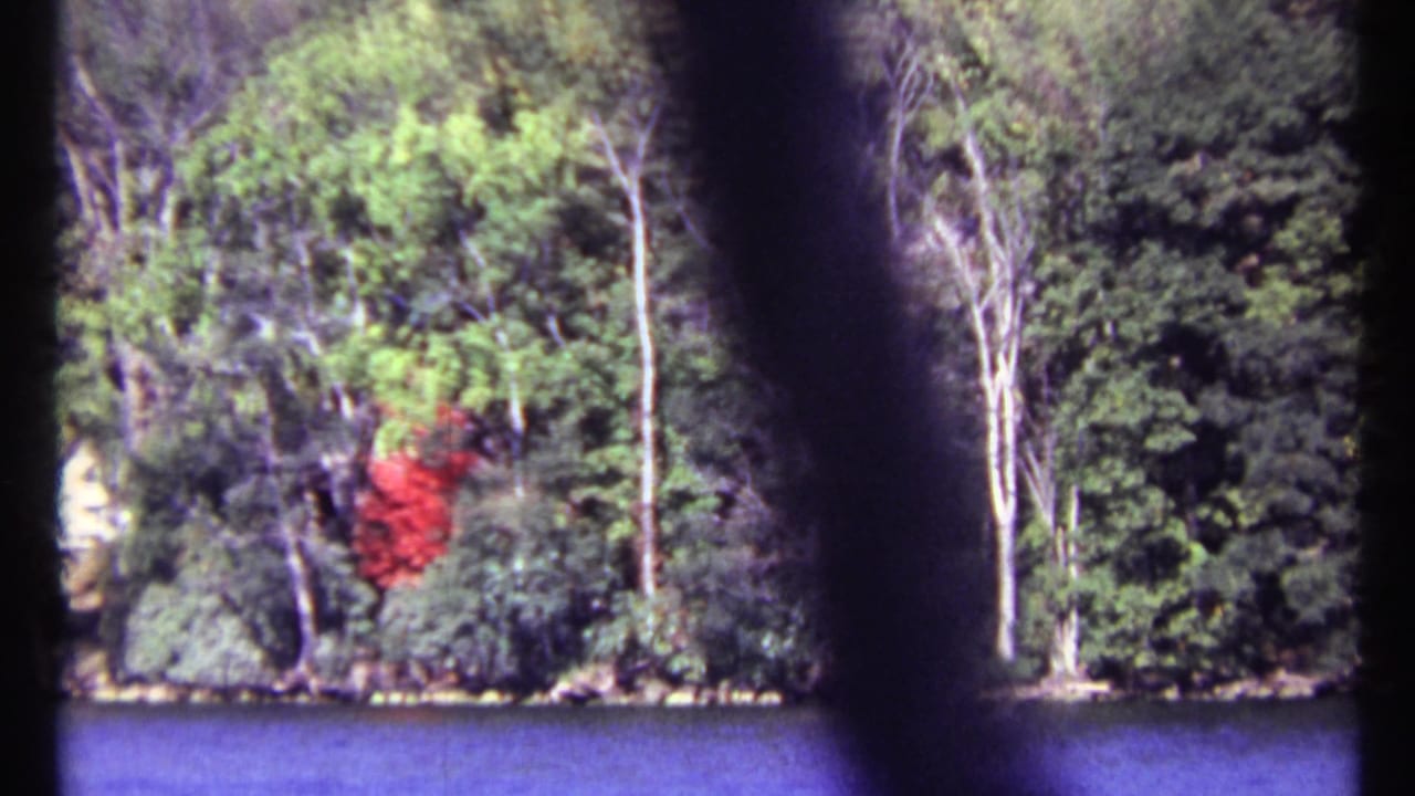 Wooded shoreline across blue water with a red object among trees and dark foreground posts.