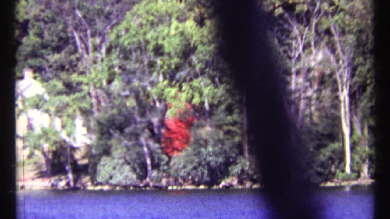 1967 Toronto lakeside view with a partly obscured pale house, dense trees, a red object, and dark vertical foreground shapes.