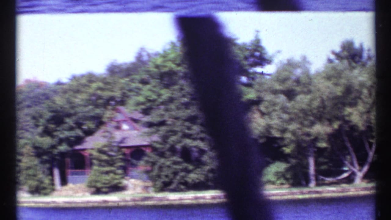 Rustic cabin partly visible through trees across a lake, with a dark pole crossing the foreground.