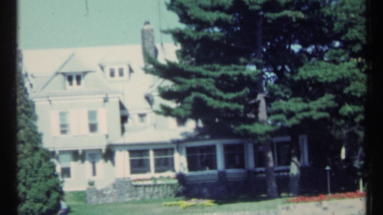 Large pale house behind trees with lawn and garden beds.