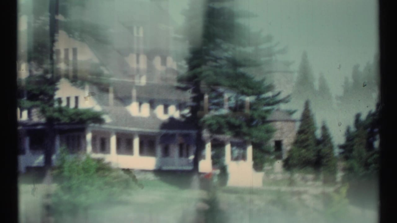 Large white house partly obscured by evergreen trees and soft focus.