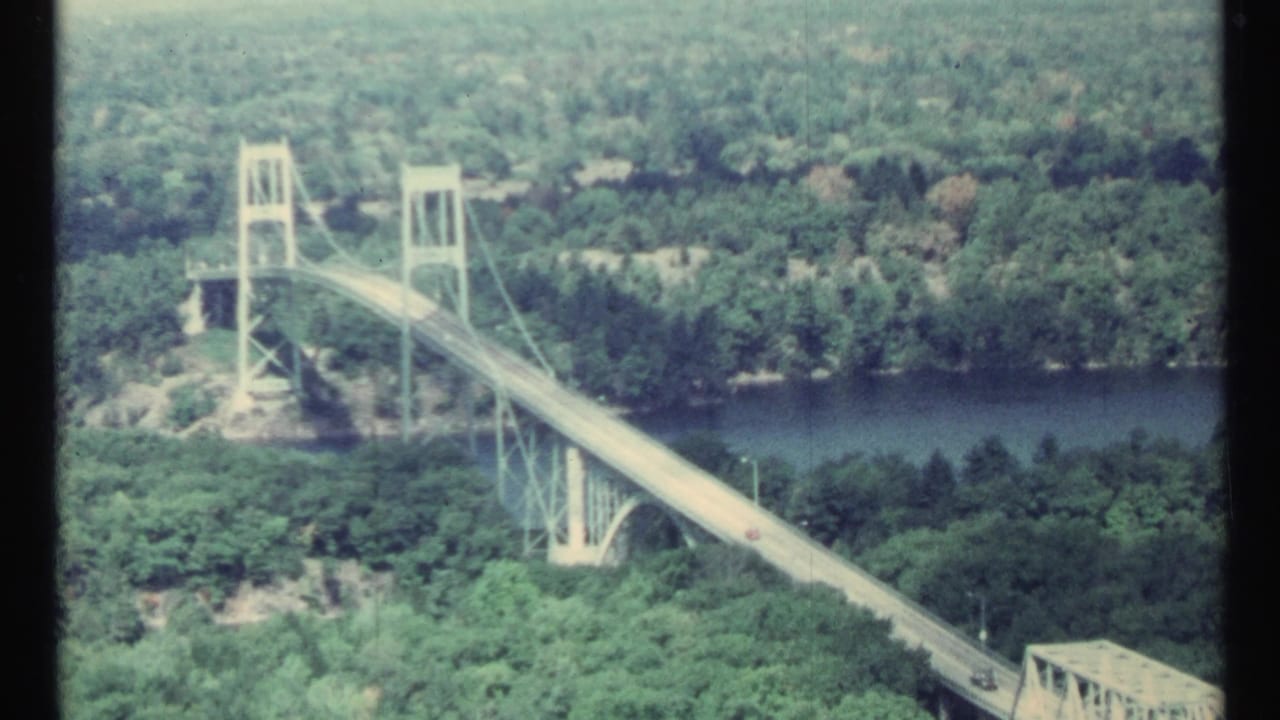 High bridge with towers and cables crossing a river above dense green trees.