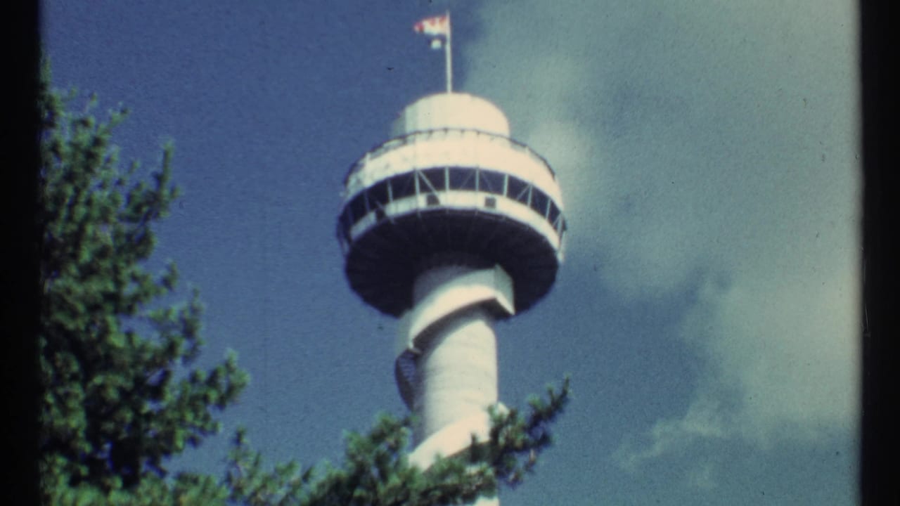 White tower with circular deck and flags above trees.