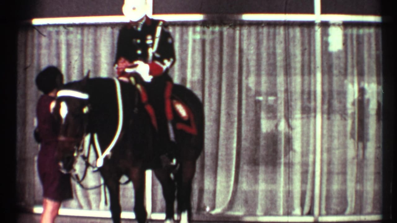 Uniformed mounted guard on a dark horse beside a woman in front of curtains.