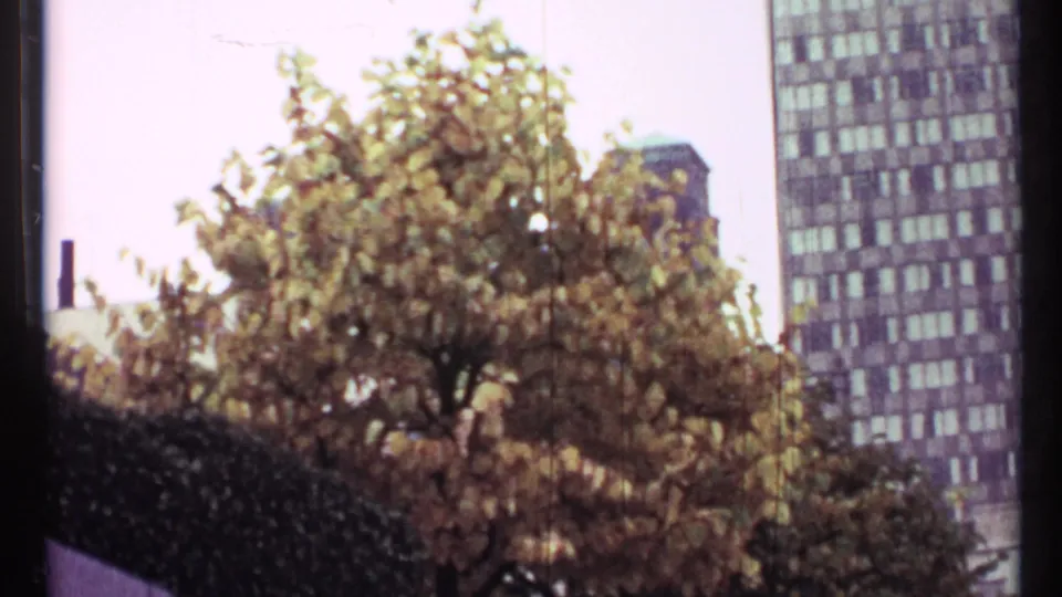 Toronto city view with golden autumn leaves in front of high-rise buildings, seen from a handheld 8mm perspective.