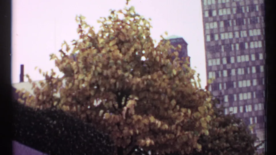 End frame of a Toronto autumn tree and nearby high-rise, with visible 8mm softness and grain.