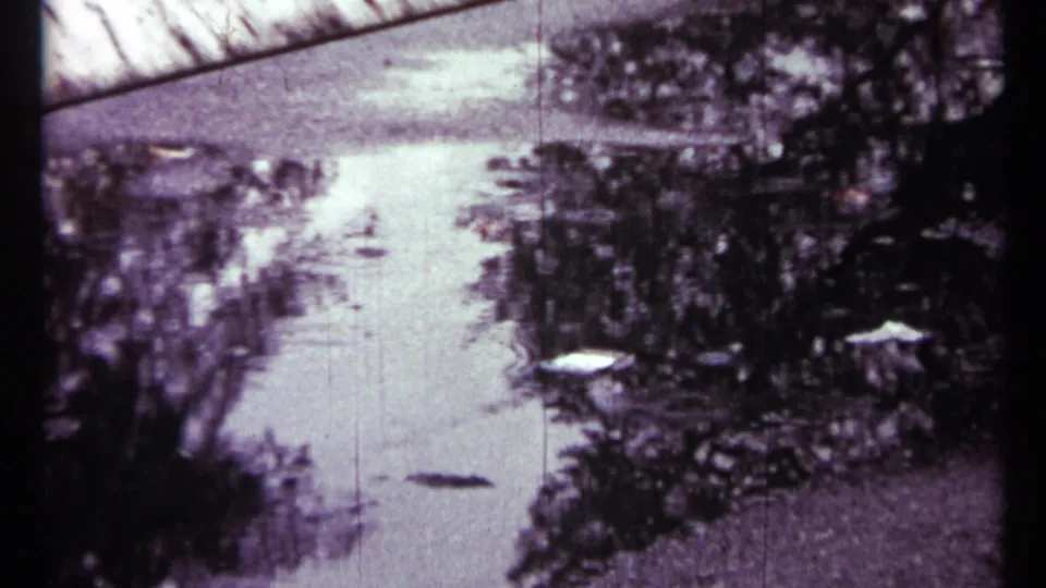 1967 Toronto 8mm frame shows rain striking a puddle, with reflected cloudy light and dark foliage shapes around the water.