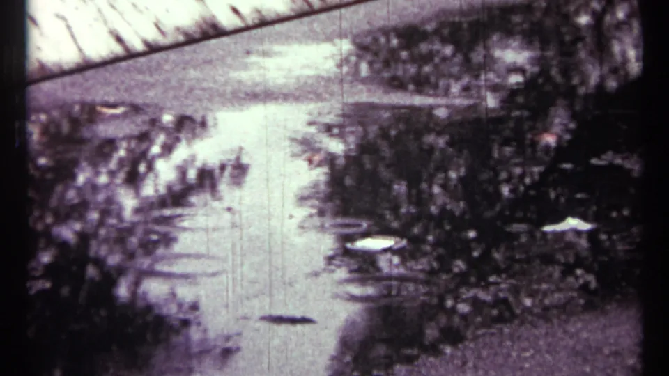 Final 1967 Toronto 8mm frame shows the rain puddle continuing to ripple, with dark foliage reflections and visible film scratches.