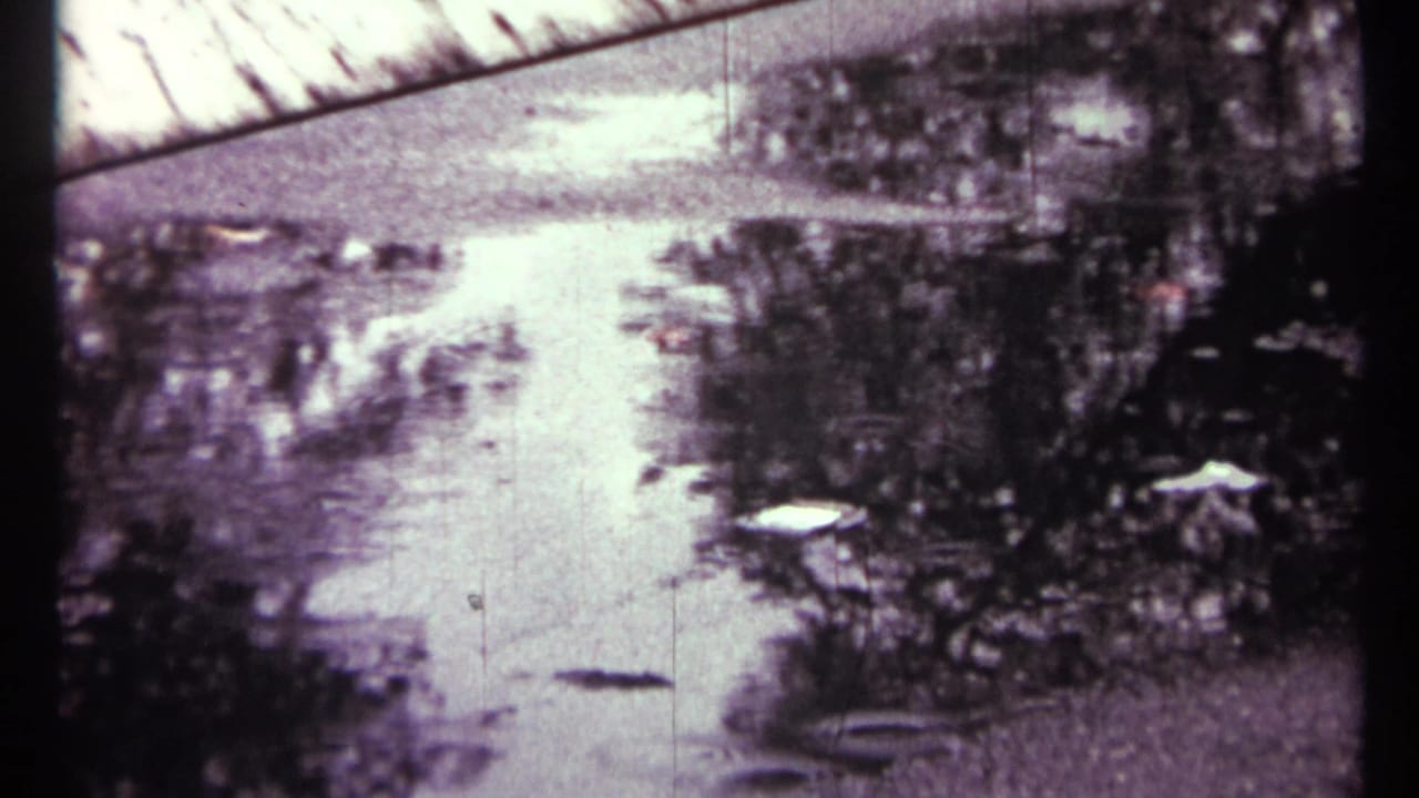 Wet street with reflections, dark trees, and rain-softened detail.