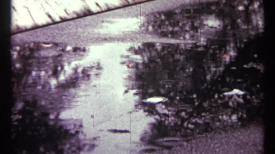 1967 Toronto home-movie frame showing a rain-wet street, blurred trees, and shimmering pavement reflections.