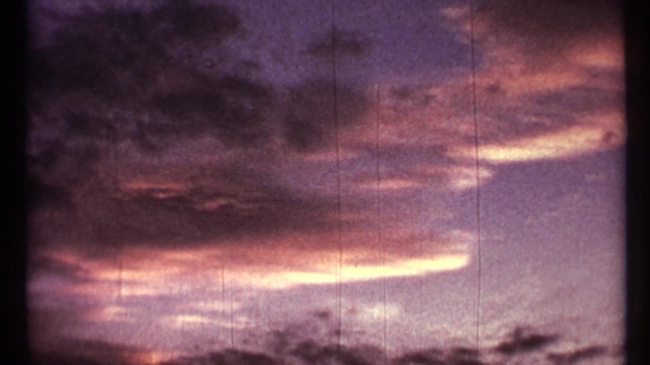 Purple and pink clouds over a dark tree line at sunset with visible film scratches.
