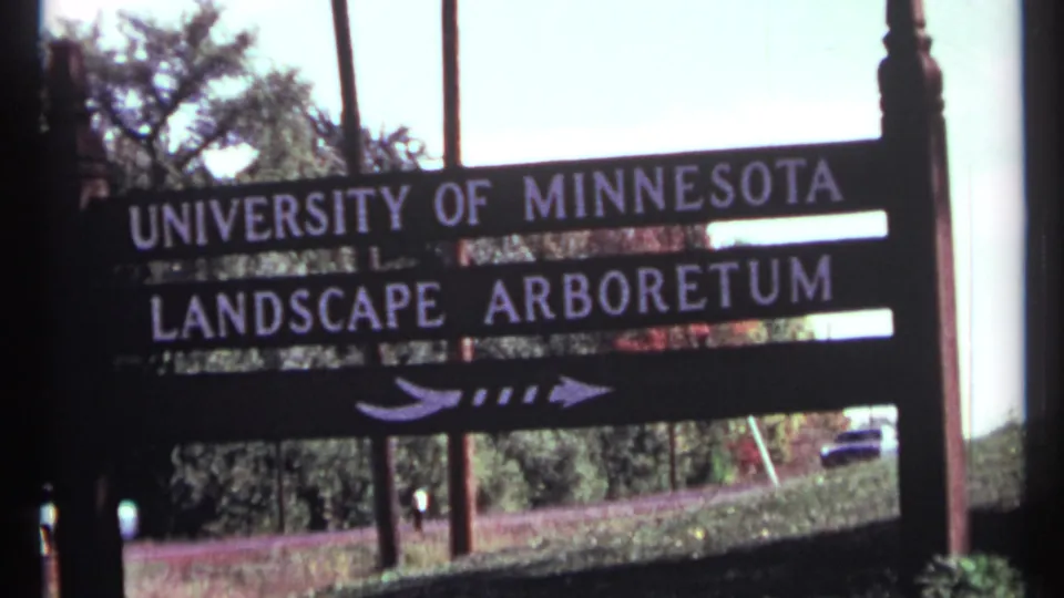 1967 8mm frame with a closer handheld view of the University of Minnesota Landscape Arboretum sign, arrow, trees, roadside grass, and distant cars.