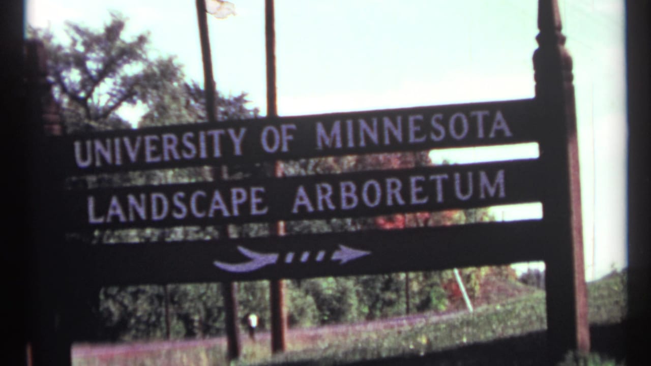 1967 home-movie frame showing a University of Minnesota Landscape Arboretum sign, roadside greenery, and a very distant visitor-like figure.