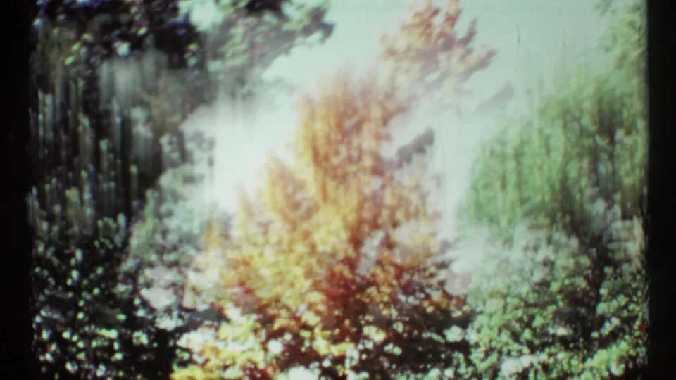 1967 Toronto 8mm frame with overexposed autumn foliage, tree silhouettes, and visible motion or scan blur.