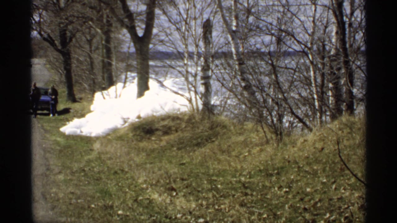 Blue car and two people near a snowy wooded roadside by water.