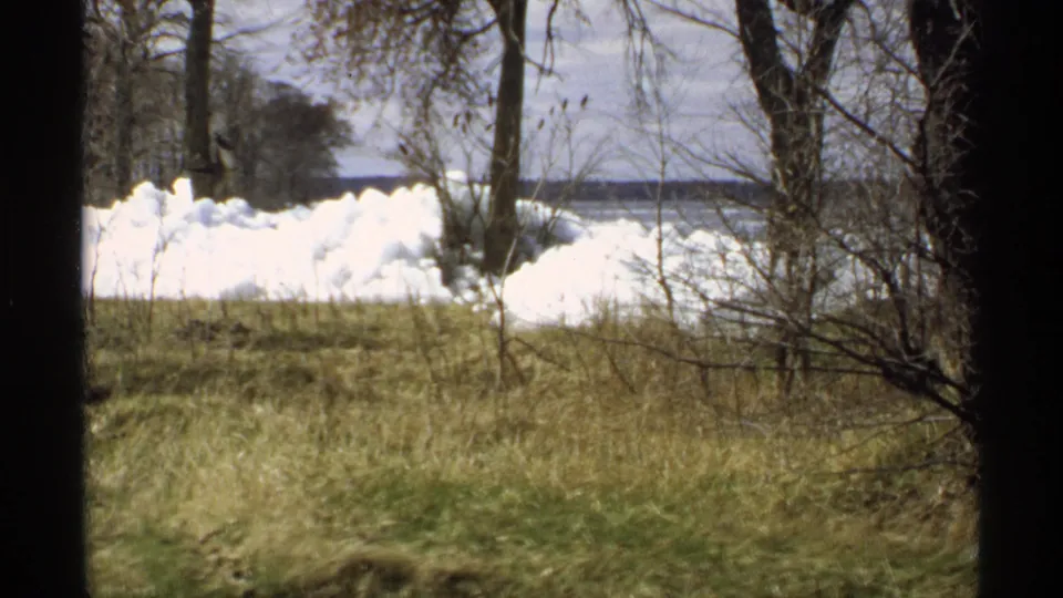 Minnesota 8mm frame showing melting snow piles behind winter grass, framed by bare trees near distant water.