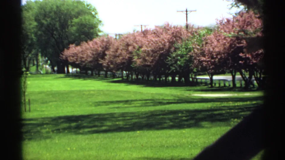 1970 Minnesota 8mm frame looking across a mown field toward pink blooming trees, roadside space, and overhead utility lines.
