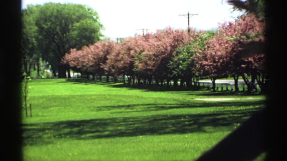 1970 Minnesota 8mm frame of the same grassy park border, with pink flowering trees, utility poles, and dark rounded frame edges.