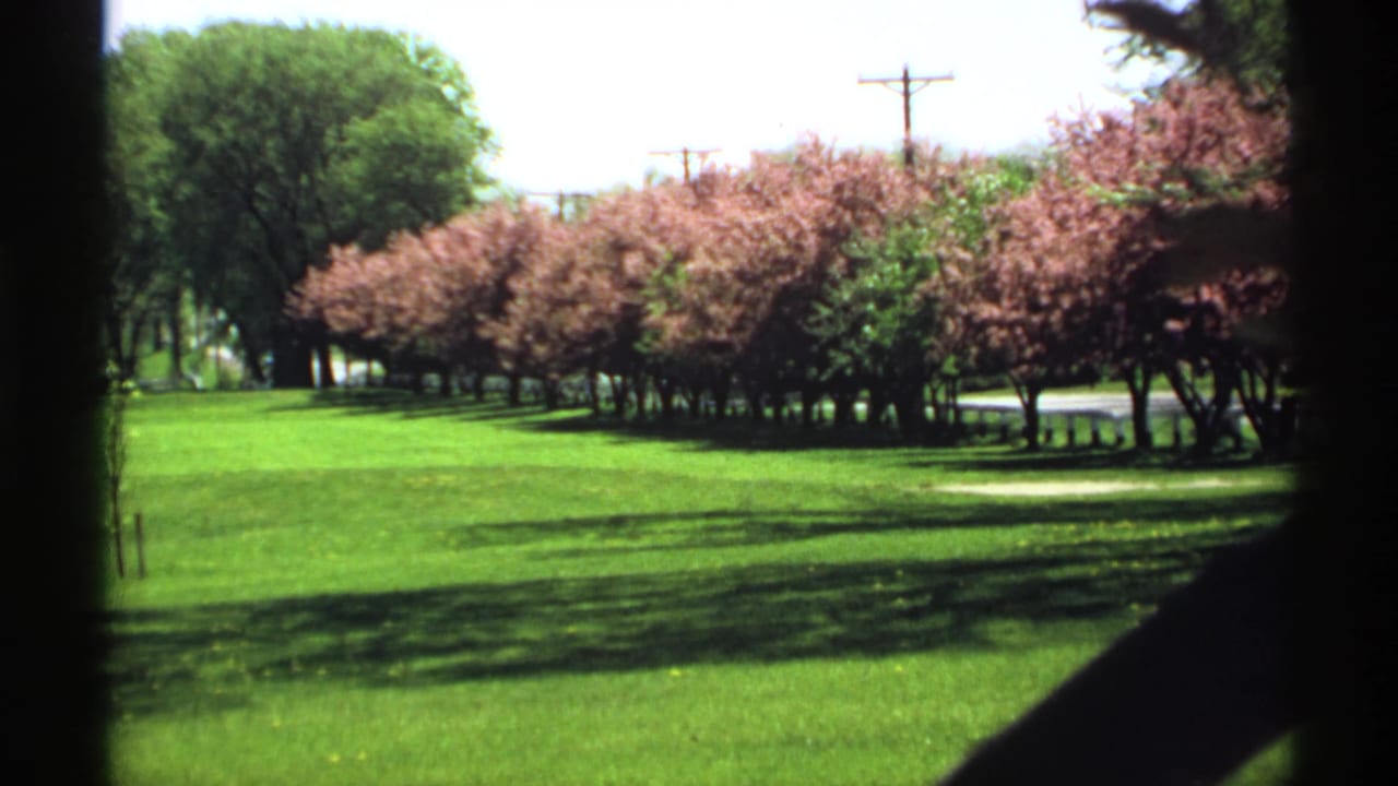 1970 Minnesota home-movie frame showing a sunlit green lawn, pink flowering trees, distant utility poles, and dark film-edge vignetting.