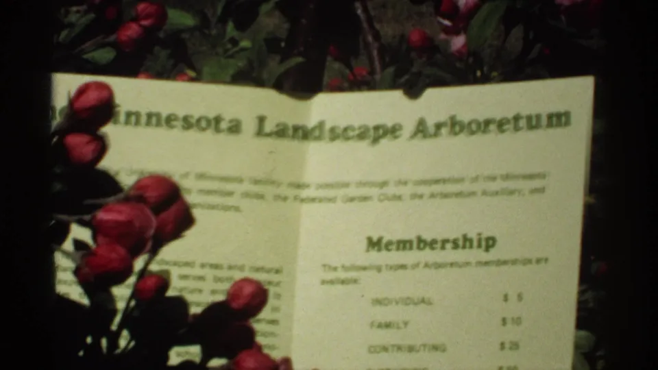 1970 home-movie close-up of a Minnesota Landscape Arboretum brochure showing membership information, partly obscured by red buds.