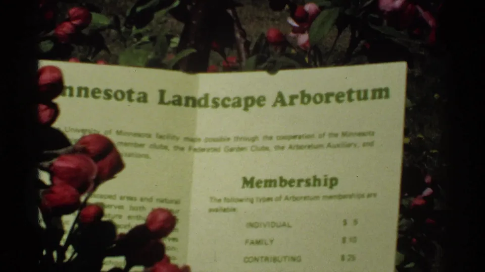 Close-up from 1970 Minnesota footage showing the arboretum membership brochure with individual, family, and contributing levels visible.