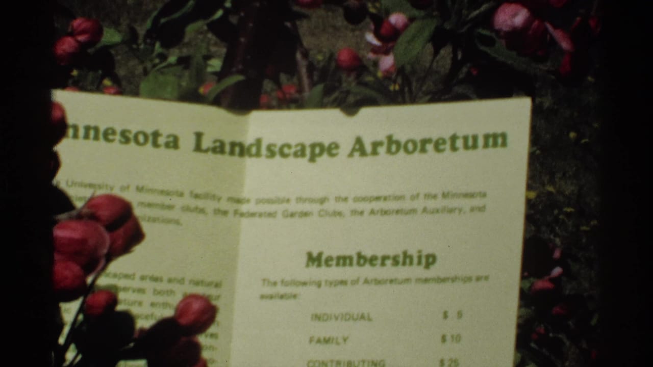 1970 Minnesota 8mm frame showing a Minnesota Landscape Arboretum membership sign partly obscured by blossoms and shadow.