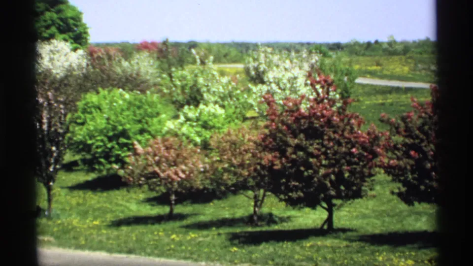1970 Minnesota 8mm frame with red, pink, and white flowering plantings across a sunlit green lawn.
