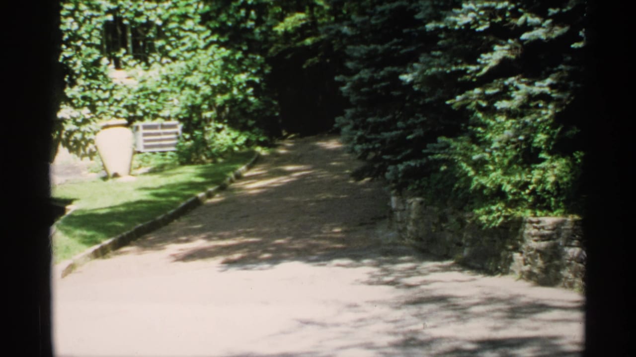 Sunlit gravel driveway bordered by lawn, trees, and a low stone wall.