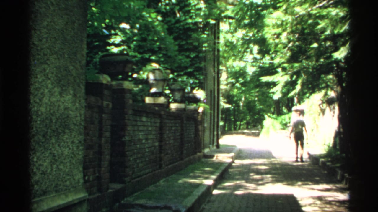 Sunlit tree-lined path with brick wall and a distant person walking away.