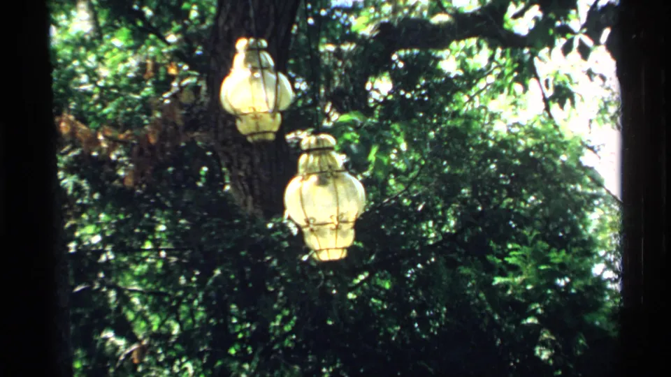 Decorative hanging lanterns are seen among leafy branches and bright garden light, likely part of the same outdoor Minnesota setting.