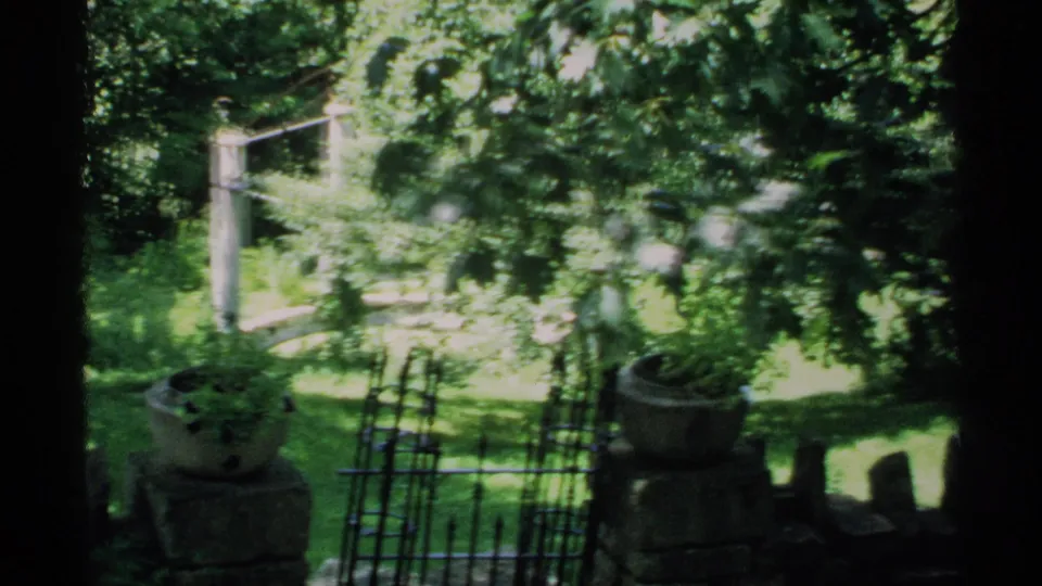 1970 Minnesota garden view through a wrought-iron gate, with potted plants, grass, and leafy branches in sun.