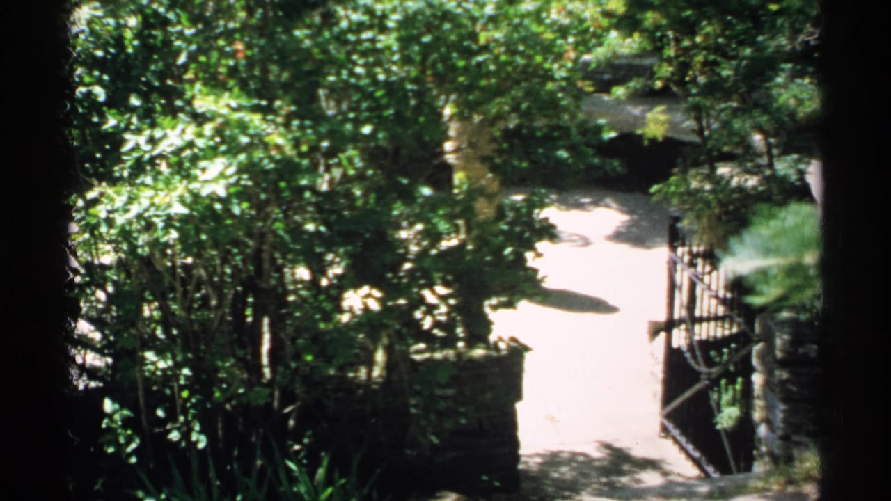 Tree-shaded garden path with stone walls and a dark railing in bright sun.