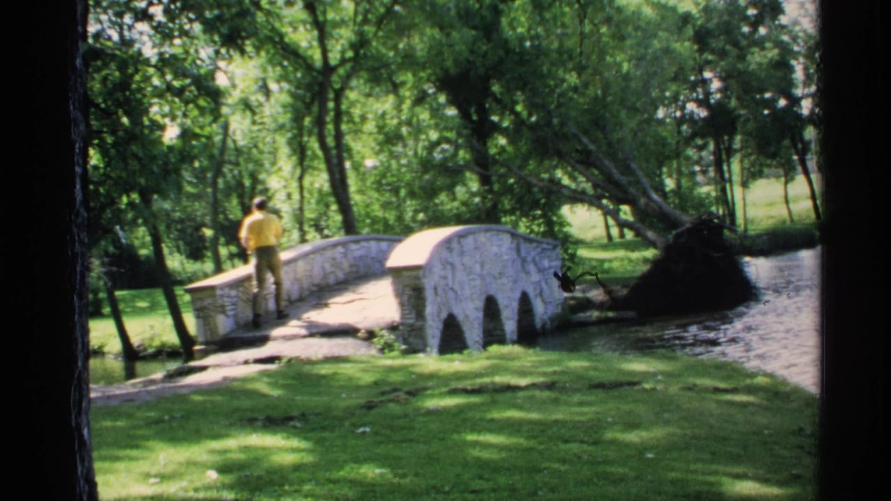 Man in a yellow shirt standing on a small stone bridge over a stream in a green park.