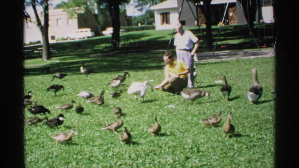 1970 Minnesota park footage with a crouching adult feeding waterfowl as another adult stands nearby in the sun.
