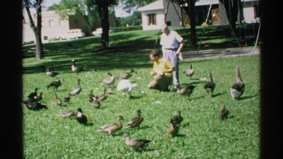 1970 Minnesota home-movie frame with ducks, geese, and a white swan near two adults in a suburban park.