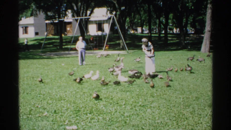 The woman continues feeding a flock on the lawn while the man remains back near the playground structure in Minnesota footage from 1970.