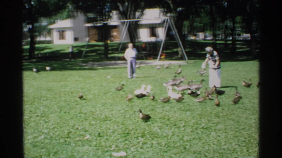 A flock clusters around the woman on the park grass, with a man, trees, a swing set, and a small building behind them.