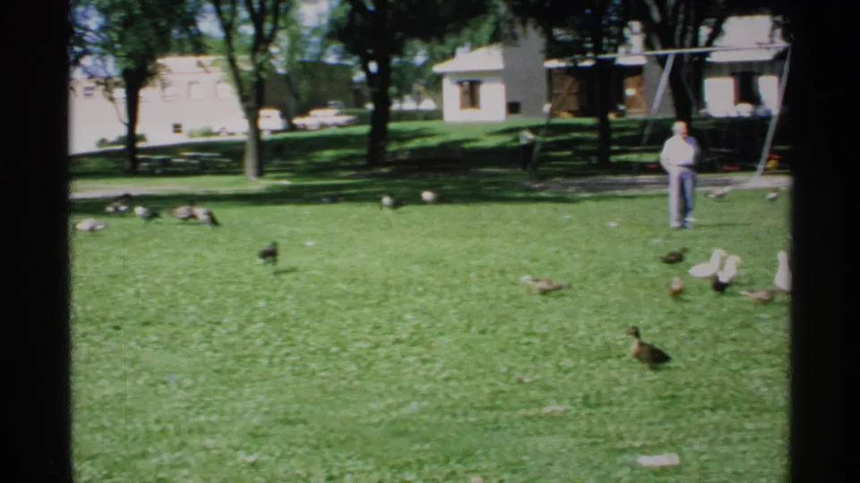 The frame shifts right, leaving the woman partly cropped while the man stands near the playground and birds spread across the sunny lawn.