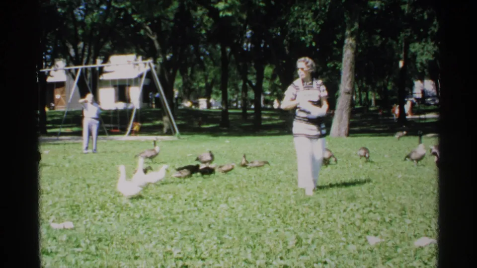 1970 Minnesota park scene with a woman in a striped top and white pants standing near ducks and geese while another person stands by the swings.