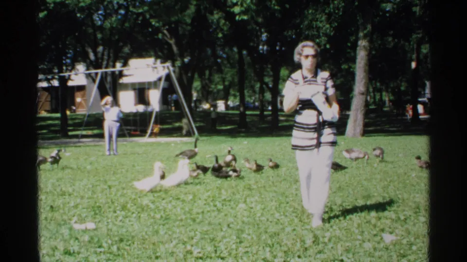 1970 Minnesota park frame with a woman facing the camera, waterfowl on the grass, and a playground swing set beneath trees behind her.