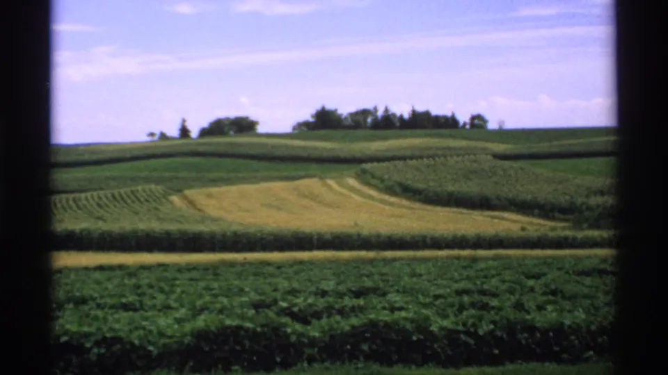 1970 Minnesota farmland with green crop rows, pale harvested strips, distant trees, and bright sky viewed through a dark frame.