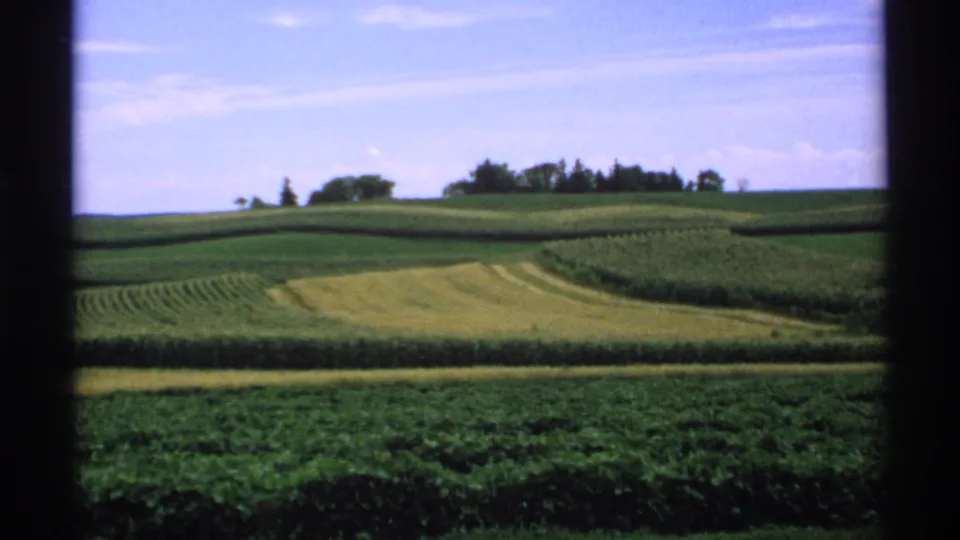 1970 Minnesota 8mm frame showing curved crop rows, green fields, yellow cut patches, and a distant tree cluster through dark borders.