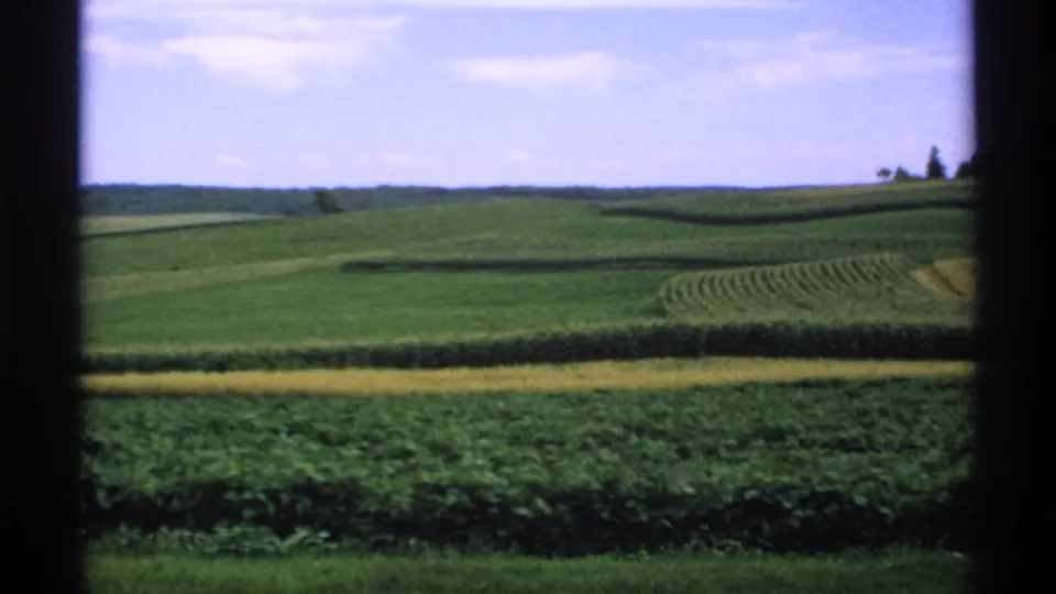 1970 Minnesota farmland view with broad green fields, patterned crop rows, distant horizon, and a band of sky framed by dark window edges.