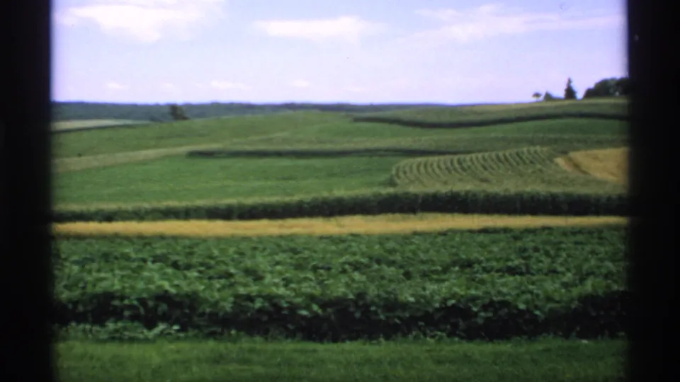 1970 Minnesota farmland with layered green fields, planted rows, a yellow crop strip, and dark window framing at the edges.