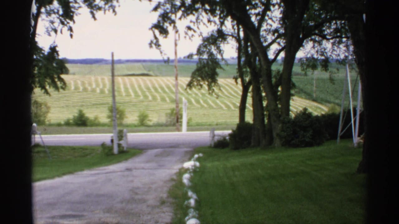 Gravel driveway leading to a road and striped fields beyond, framed by trees and fence posts.