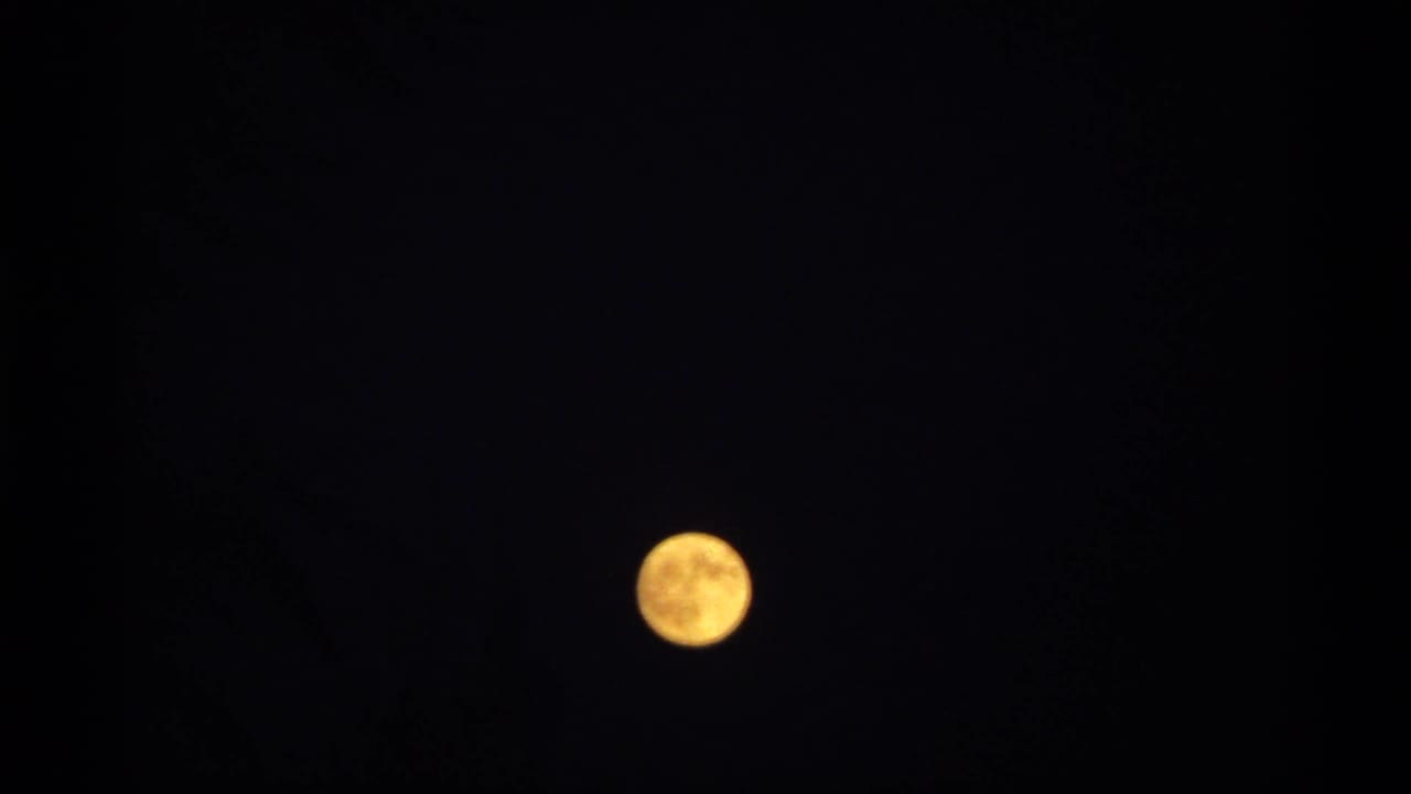 Golden moon against a dark sky with faint tree silhouettes and heavy film edge shadow.