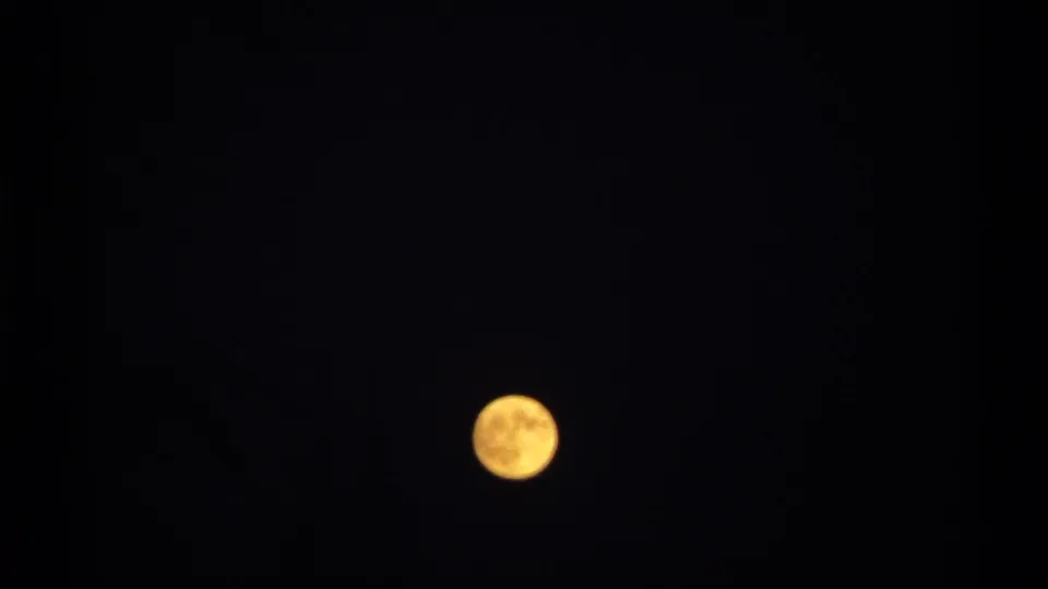 A golden full moon appears in a dark Minnesota night sky, framed by faint trees and 8mm film-edge shadow.