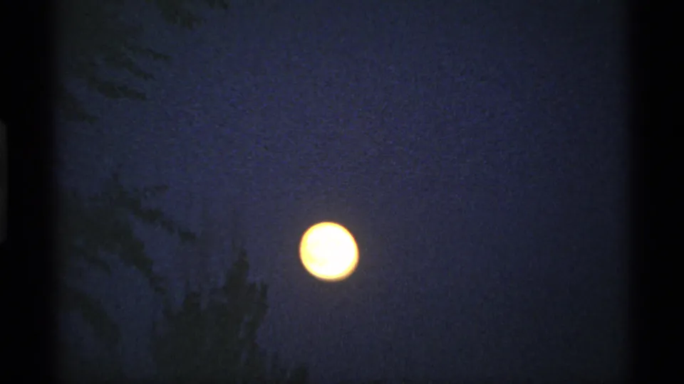The moon sits in a deep blue Minnesota night sky with silhouetted branches and visible 8mm frame borders.